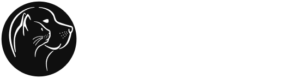 logo_v6 1